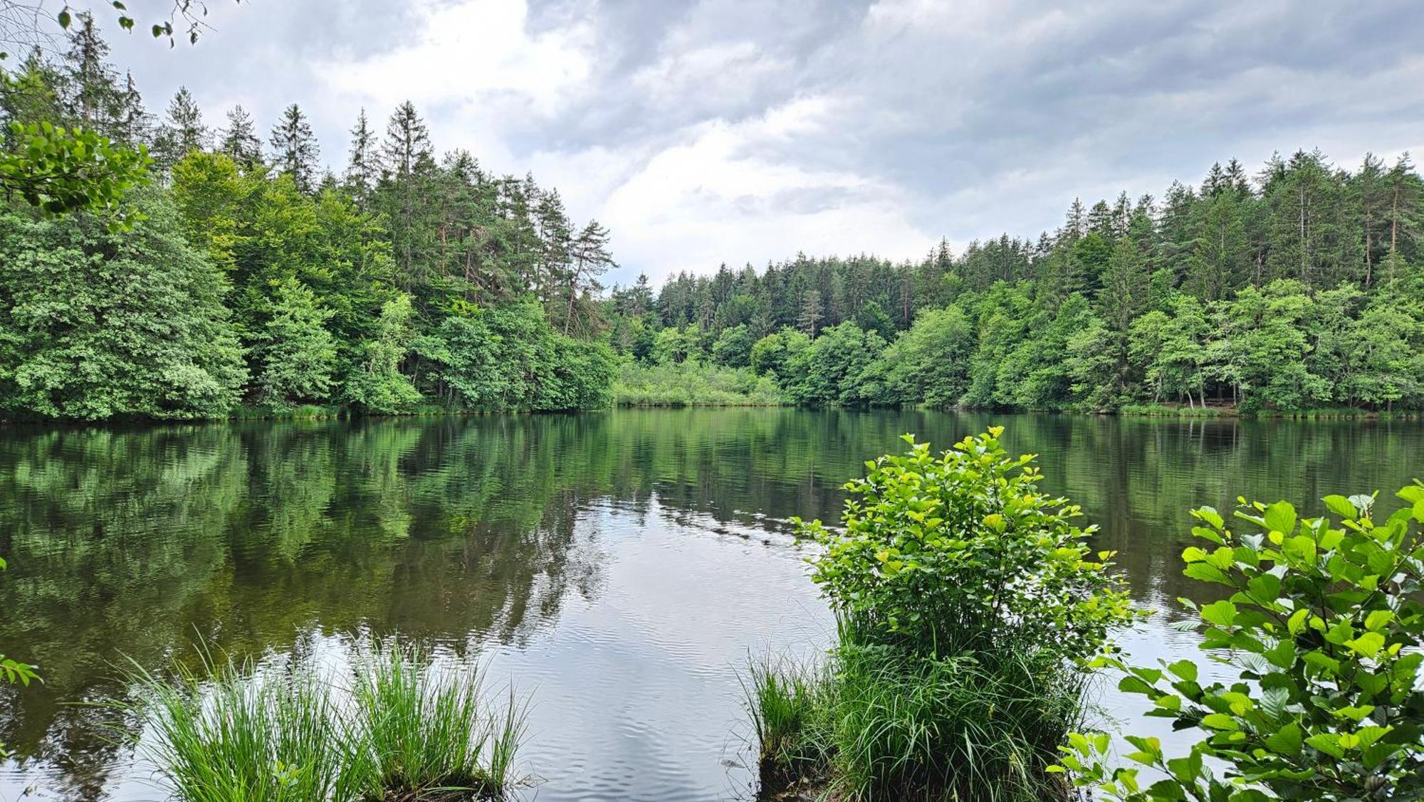 "Casa Antonio" 3 Gehminuten Strandbad Sekirn, Inkl Seezugang Exteriör bild