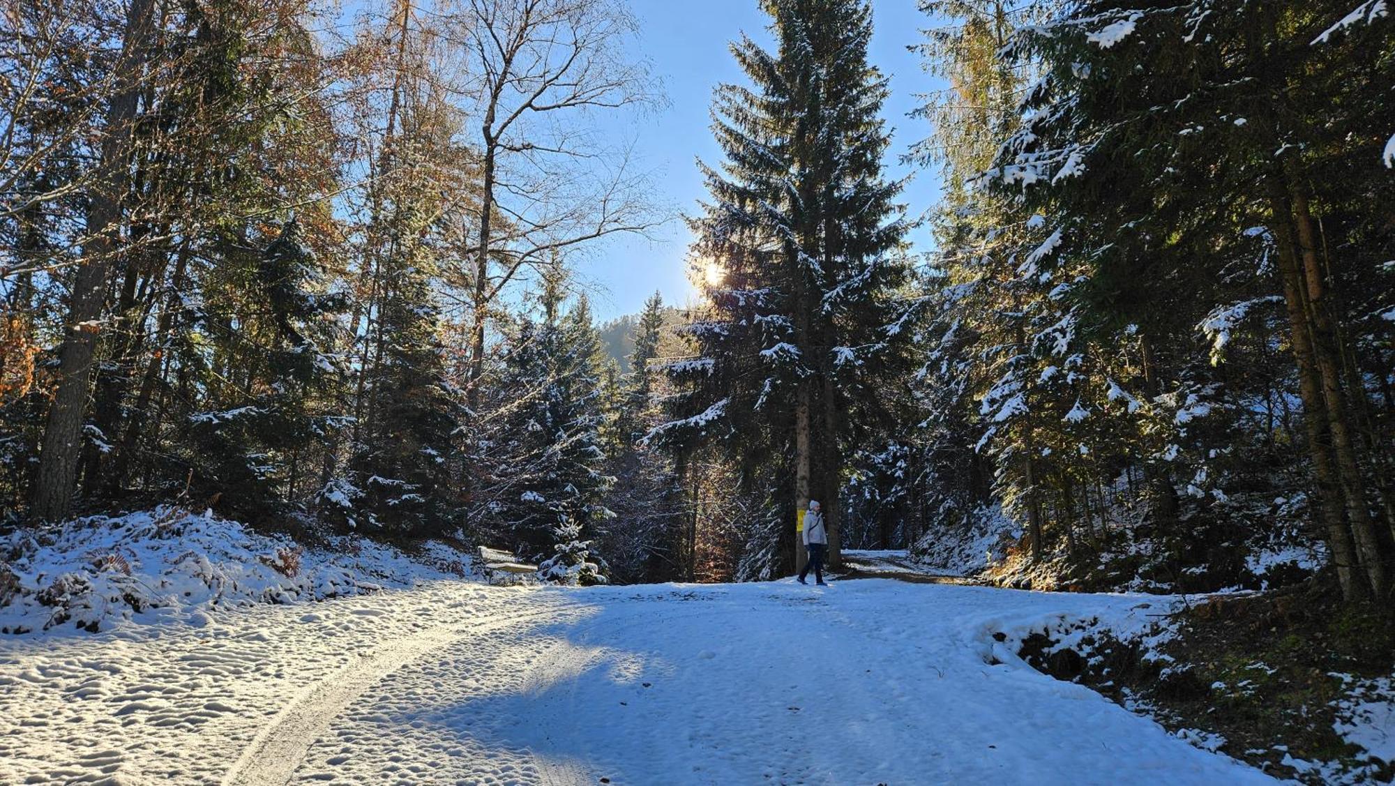 "Casa Antonio" 3 Gehminuten Strandbad Sekirn, Inkl Seezugang Exteriör bild